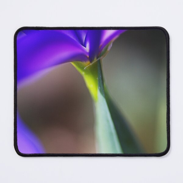 Item preview, The Tilting Iris designed and sold by Joy Watson - Natural Light Photography .