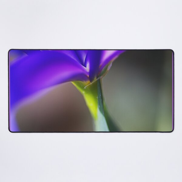 Item preview, The Tilting Iris designed and sold by Joy Watson - Natural Light Photography .