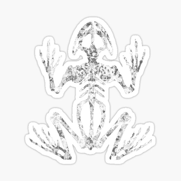 Item preview, Frog Skeleton designed and sold by zingarostudios.