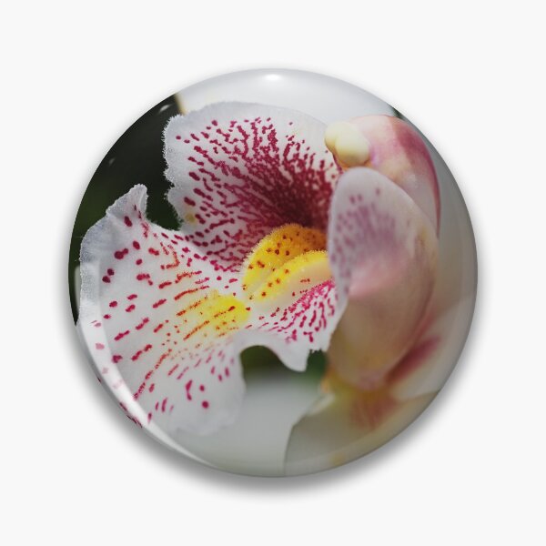 Item preview, White And Smiling Orchid designed and sold by Joy Watson - Natural Light Photography .