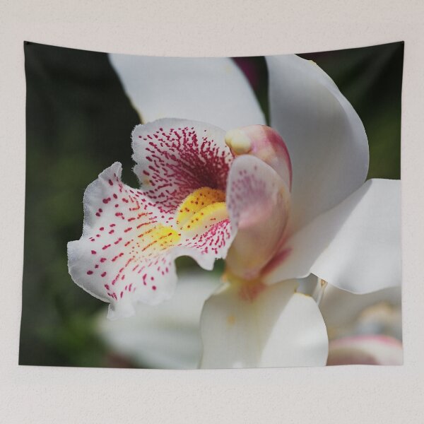 Item preview, White And Smiling Orchid designed and sold by Joy Watson - Natural Light Photography .