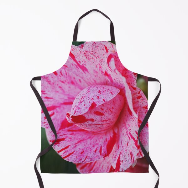 Item preview, Peppermint Candy Camellia Flowers designed and sold by Joy Watson - Natural Light Photography .