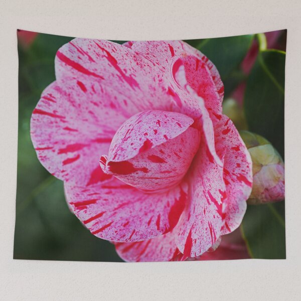 Item preview, Peppermint Candy Camellia Flowers designed and sold by Joy Watson - Natural Light Photography .
