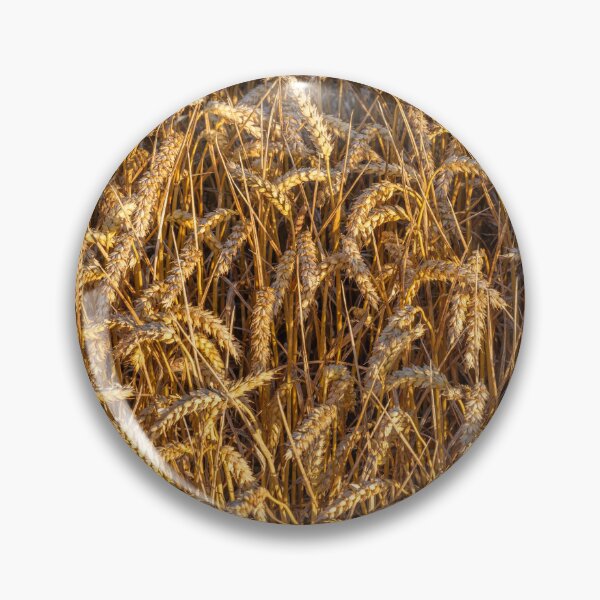 Item preview, Golden Wheat Field designed and sold by assaf.