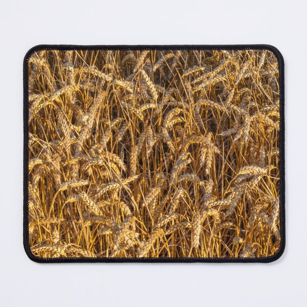 Item preview, Golden Wheat Field designed and sold by assaf.