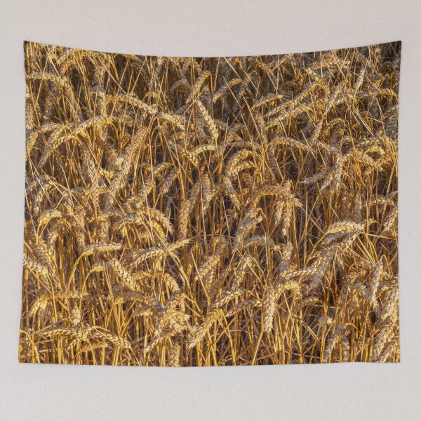 Item preview, Golden Wheat Field designed and sold by assaf.