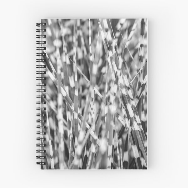 Item preview, Zebra Grass designed and sold by assaf.