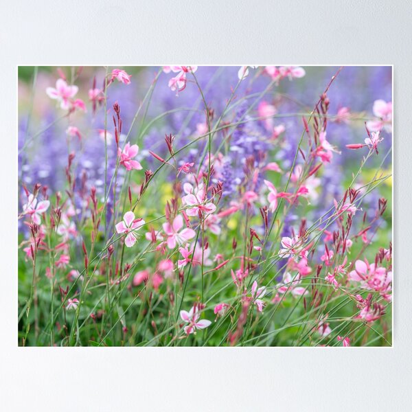 Item preview, Floral Symphony Elegance designed and sold by assaf.