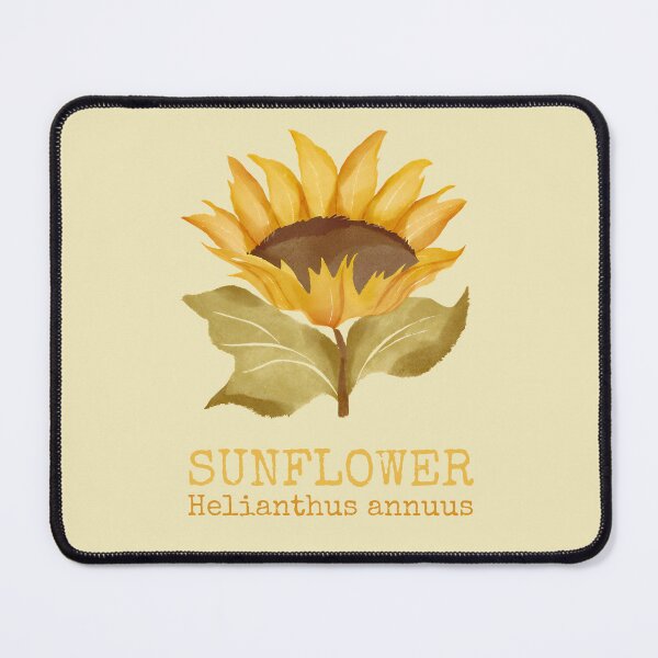 Item preview, Sunflower Helianthus annuus designed and sold by FarmOfCuties.