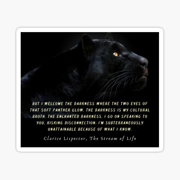 Clarice Lispector quote: But I welcome the darkness where the two eyes of that soft panther glow. The darkness is my cultural broth. Sticker