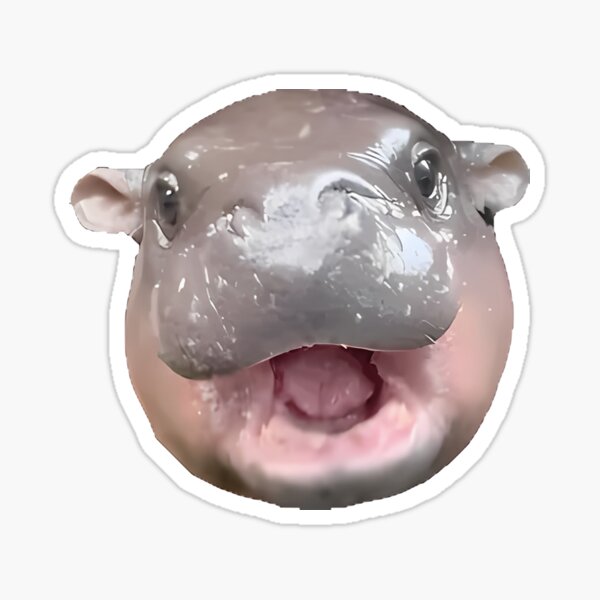 Item preview, Chaotic Little Hippo - Moo Deng designed and sold by mordarmo.