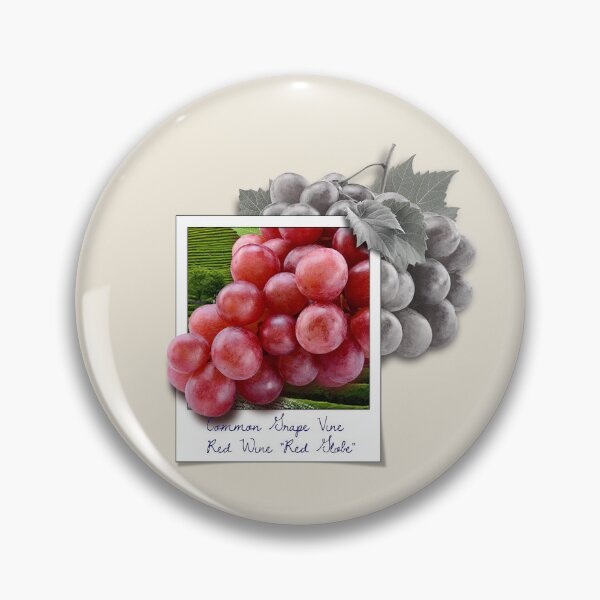 Item preview, Vintage Red Globe Grape designed and sold by NickTaroDesign.