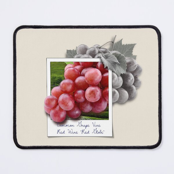 Item preview, Vintage Red Globe Grape designed and sold by NickTaroDesign.