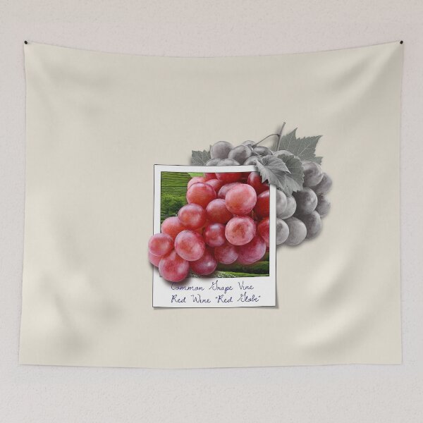 Item preview, Vintage Red Globe Grape designed and sold by NickTaroDesign.