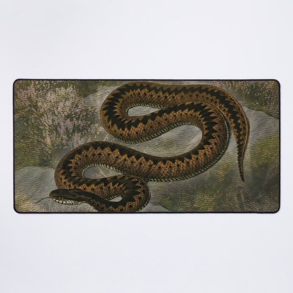 Item preview, Snake Reptile Wildlife Nature Digital Art designed and sold by SoulscapeStudio.
