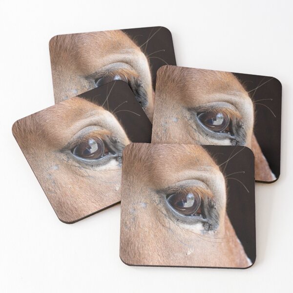 Item preview, Equine Eye designed and sold by CAPTVR3D.