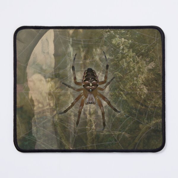 Item preview, Spider Insect Arachnid Web Nature Lover designed and sold by SoulscapeStudio.