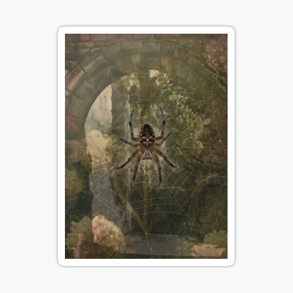 Spider Insect Arachnid Web Nature Lover Sticker