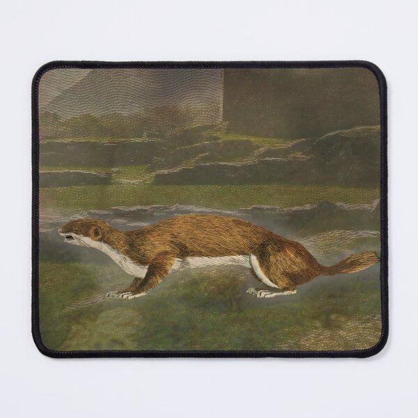 Item preview, Stoat Nature Forest Wild Digital Art designed and sold by SoulscapeStudio.