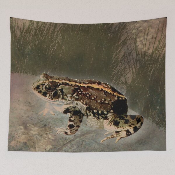 Item preview, Toad Amphibian Wildlife Nature Digital Art designed and sold by SoulscapeStudio.