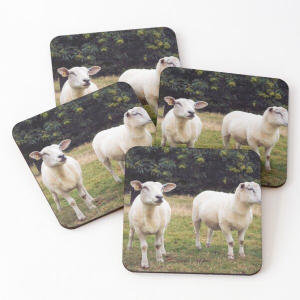 Item preview, Baa' designed and sold by JEZ22.