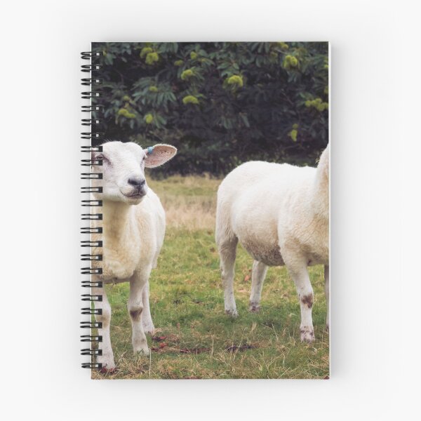 Item preview, Baa' designed and sold by JEZ22.
