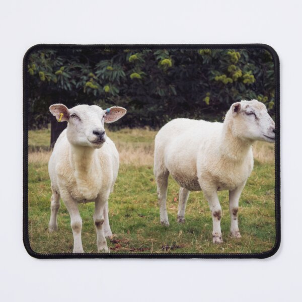 Item preview, Baa' designed and sold by JEZ22.