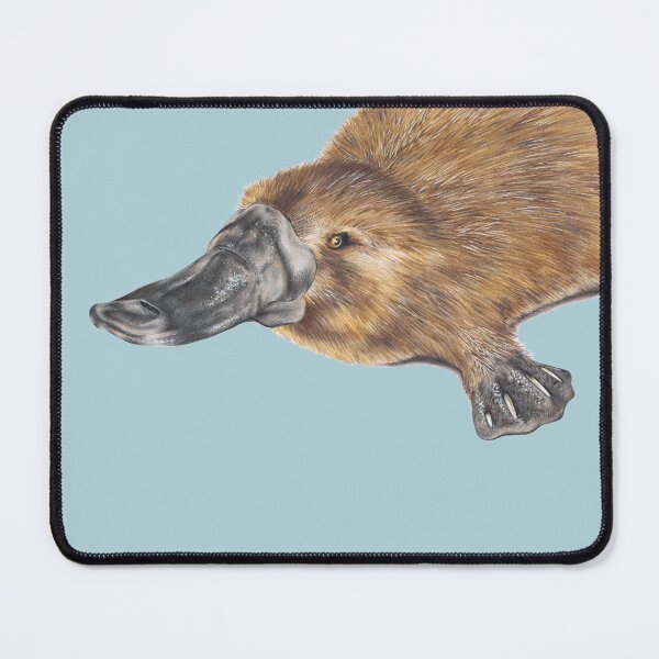 Item preview, Platypus Blue designed and sold by Hayley Wilson.