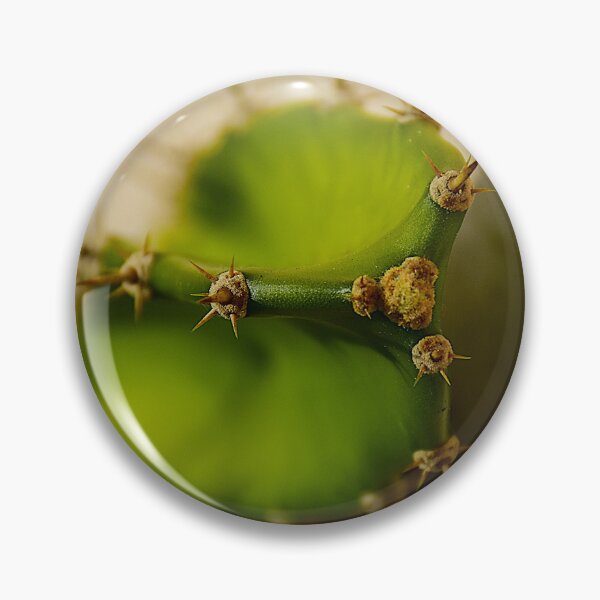 Item preview, Cactus Points  designed and sold by MercerImages.