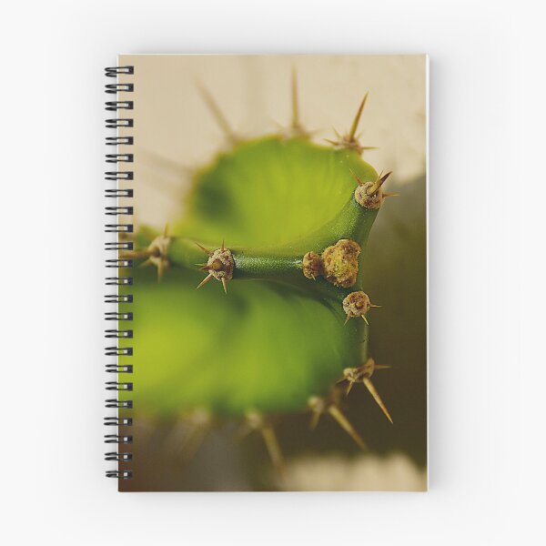 Item preview, Cactus Points  designed and sold by MercerImages.