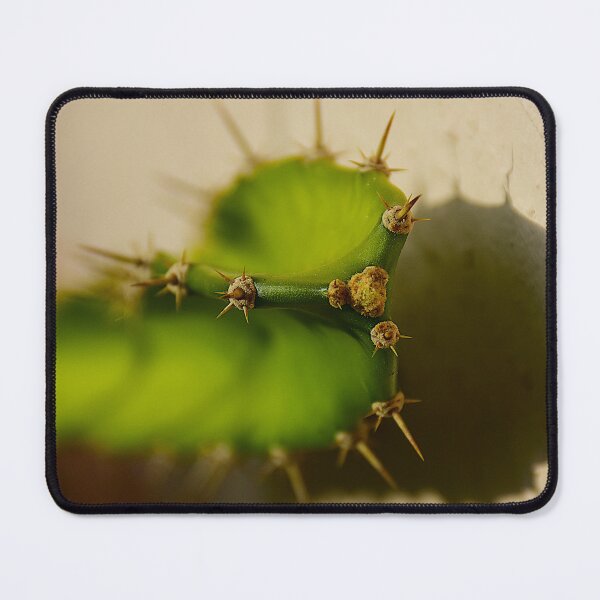 Item preview, Cactus Points  designed and sold by MercerImages.