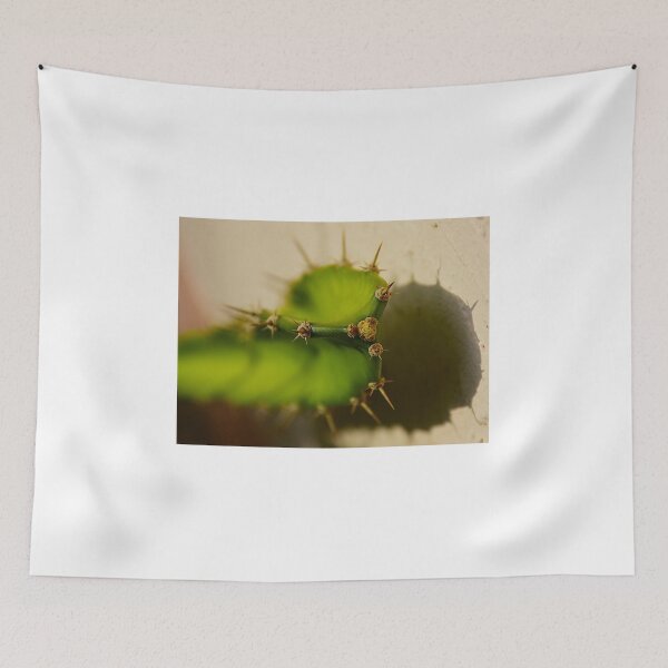Item preview, Cactus Points  designed and sold by MercerImages.