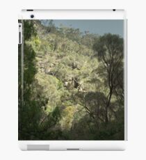 Hiding In Plain Sight iPad Case/Skin