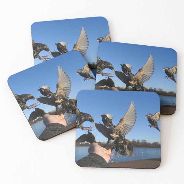 Item preview, ANOTHER FEEDING FRENZY designed and sold by NatureWatch10.