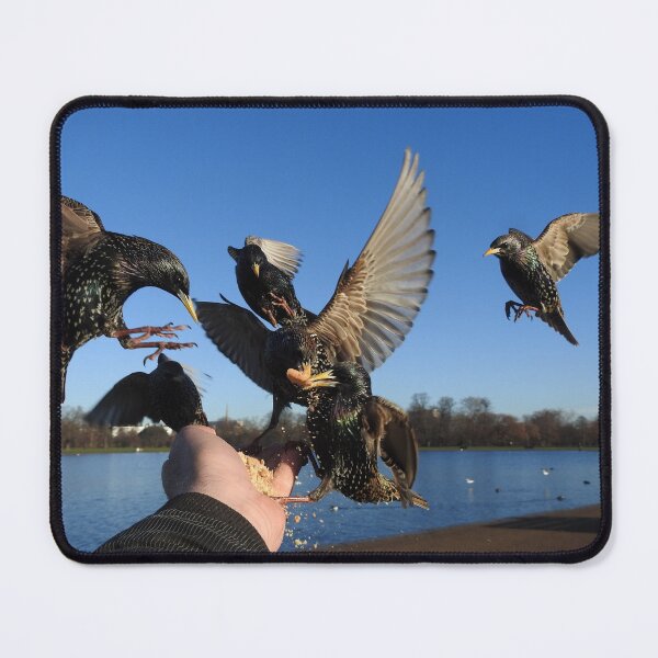 Item preview, ANOTHER FEEDING FRENZY designed and sold by NatureWatch10.