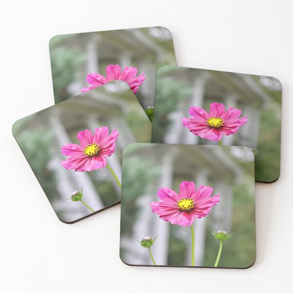 Item preview, Pink garden Cosmos flower  designed and sold by McFleur's Lens.