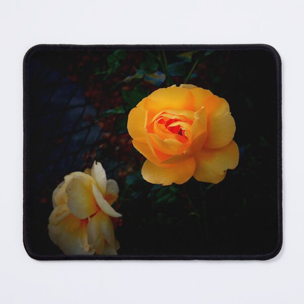 Item preview, autumn roses designed and sold by the Curious Dude.