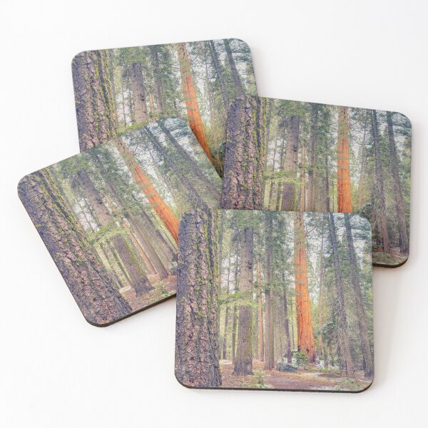 Item preview, Giant Sequoia designed and sold by jvnimages.