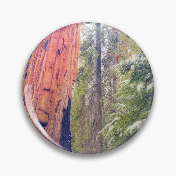 Item preview, Giant Sequoia  designed and sold by jvnimages.