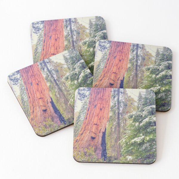 Item preview, Giant Sequoia  designed and sold by jvnimages.