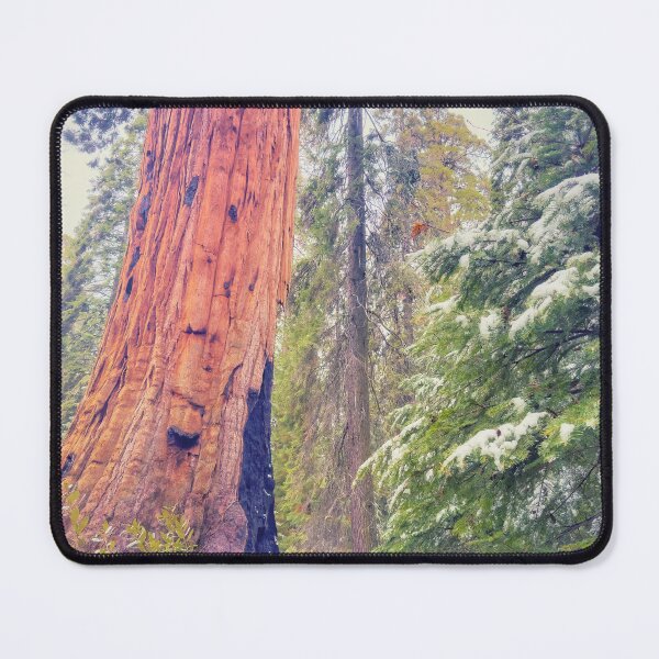Item preview, Giant Sequoia designed and sold by jvnimages.