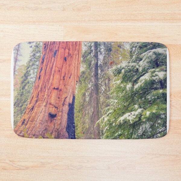 Item preview, Giant Sequoia  designed and sold by jvnimages.