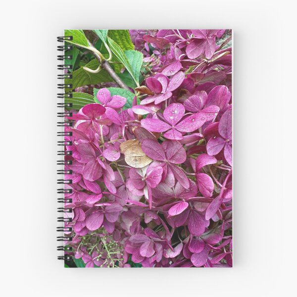 Item preview, Beautiful Hydrangea designed and sold by lifepatterns.