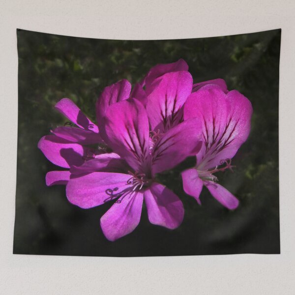 Item preview, Exotic designed and sold by heatherfriedman.