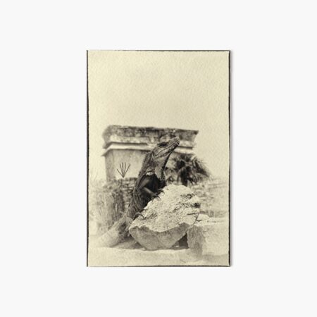Artikel-Vorschau von "The Poser of Tulum" (yellowed), designt und verkauft von Andreas Koerner.