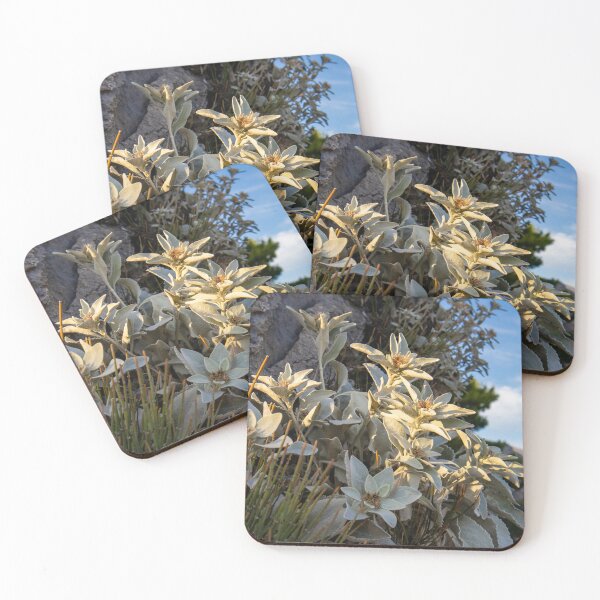 Item preview, Flowers on Coastal Rocks designed and sold by Luka Šper.