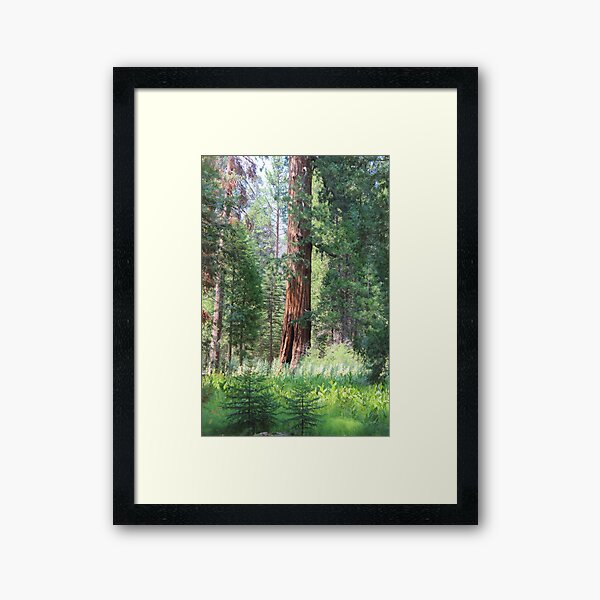Item preview, Giant Sequoia designed and sold by risalex.