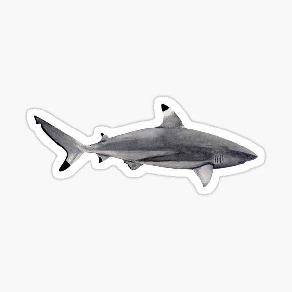 Item preview, BLACK TIP SHARK designed and sold by BEATRIZ ABAITUA.