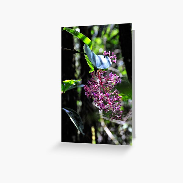 Item preview, "Crying Beauty"  designed and sold by Andreas Koerner.
