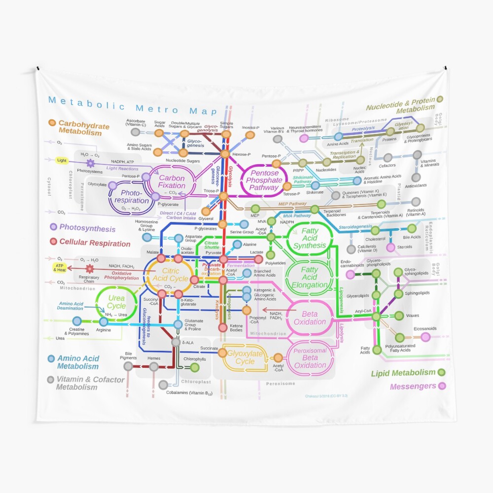 Metabolic pathway Mouse Pad